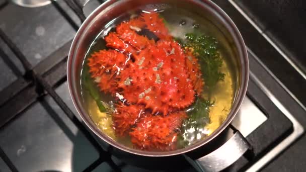 Frutos Mar Kamchatka Caranguejo Rei Vermelho Cozido Água Fervente Uma — Vídeo de Stock