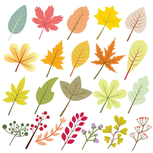 Colección Hojas Otoño Con Mucha Variación Color — Vector de stock