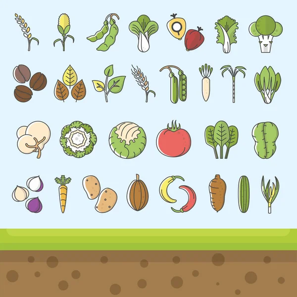 Vegetable and commodity icon with outline style — Stock Illustration Vegetable Commodity Icon Outline Style Royalty Free Stock Illustrations