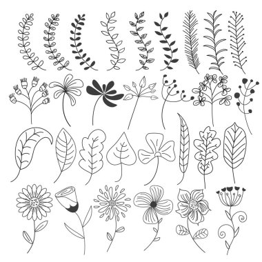 Siyah ve beyaz renkli el çizimi çiçek ve yaprak