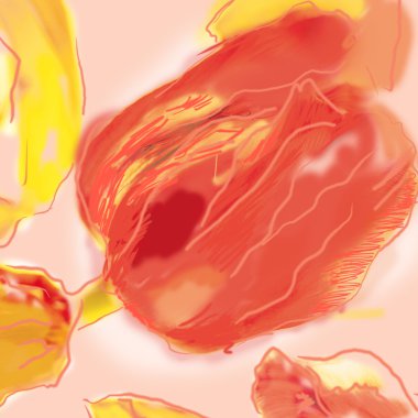 Kare çerçeveli, kontürlü laleler, güller ve beyaz otlar. Düğün tasarımın için çiçek, çiçek kartları, posterler..