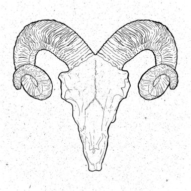 Beyaz arka plan üzerinde vintage tarzı kafatasında RAM