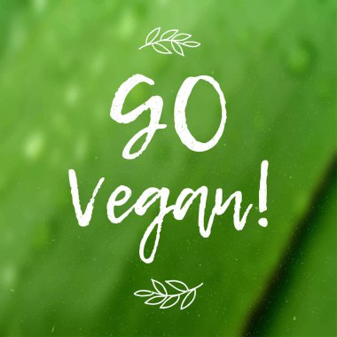 Hat Vegan gidin. Vektör çizilmiş işaret. Tasarım öğeleri. Motivasyonel teklif.