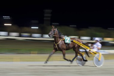 Gece at yarışı Sahası