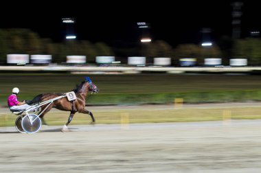 Gece at yarışı Sahası