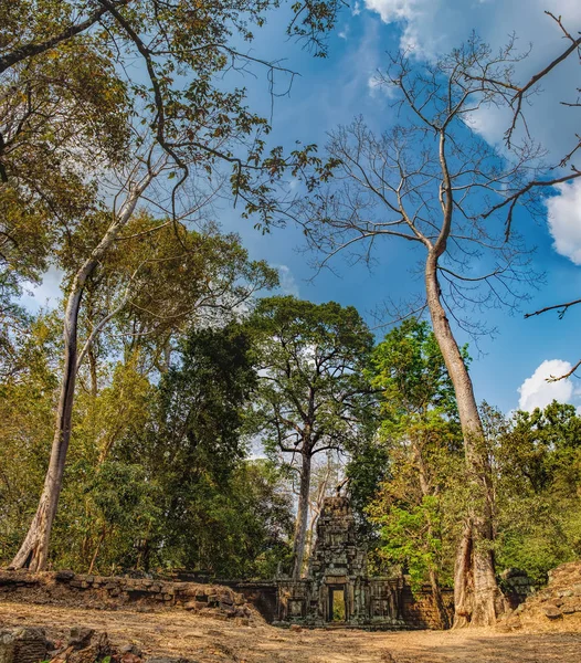 Mystérieux gopura sur fond de bois, Cambodge — Photo
