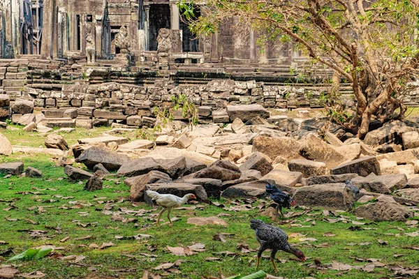 Templo de Bayon en Angkor Thom Complex, Camboya — Foto de Stock