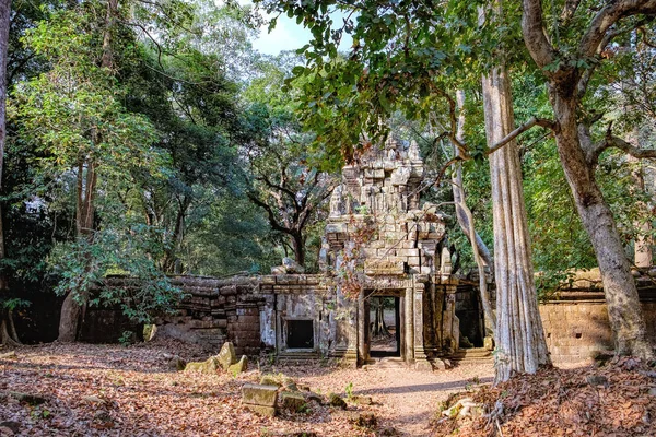 Mystérieux gopura sur fond de bois, Cambodge — Photo