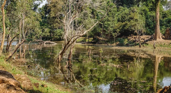 Belo lago aninhado entre a floresta tropical no Camboja — Fotografia de Stock