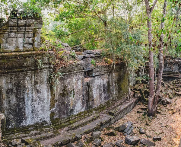 Prasat Beng Mealea Kamboçya'daki tapınak duvarına — Stok fotoğraf