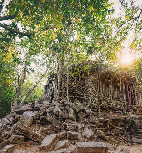 Prasat Beng Mealea Kamboçya'da — Stok fotoğraf