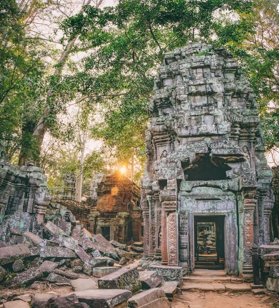Ta Prohm Temple in Angkor Complex, Cambodia — Stock Photo, Image