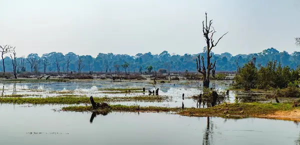 Lindo lago em torno de Neak Pean Temple, Camboja — Fotografia de Stock