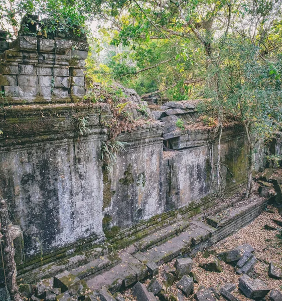 Prasat Beng Mealea Kamboçya'daki tapınak duvarına — Stok fotoğraf
