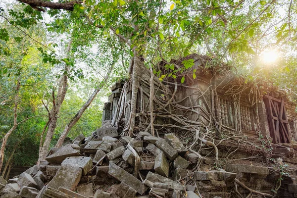 Prasat Beng Mealea Kamboçya'da — Stok fotoğraf