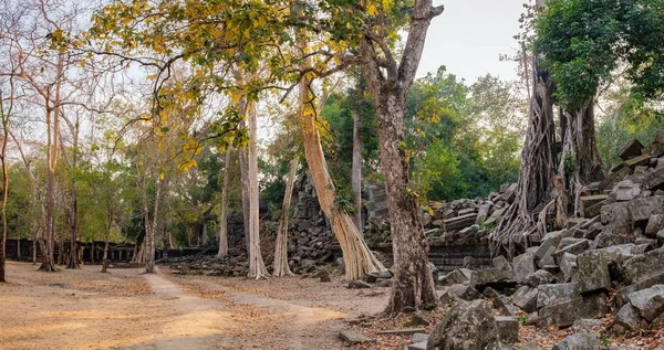 Prasat Beng Mealea Kamboçya'da kalıntıları — Stok fotoğraf