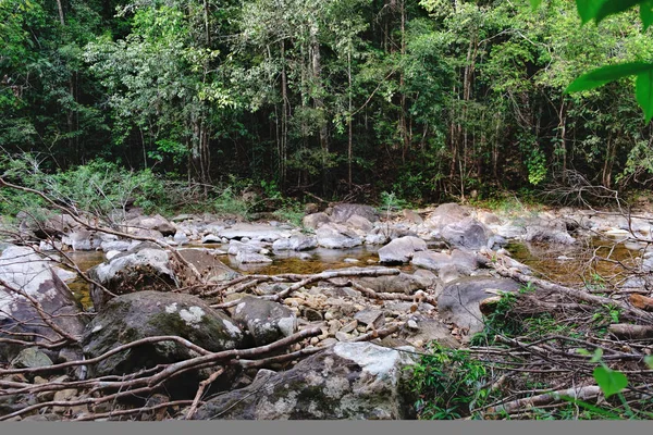 Тайська темно тропічного лісу і швидке гірській річці — стокове фото