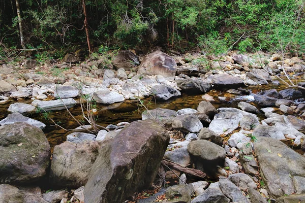 Thaise donker tropisch woud en snelle berg rivier — Stockfoto