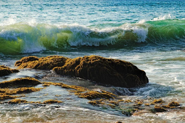 Costa do mar com uma onda rolando para a costa — Fotografia de Stock