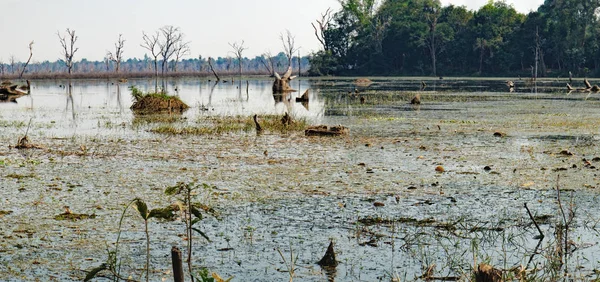 Lindo lago em torno de Neak Pean Temple, Camboja — Fotografia de Stock