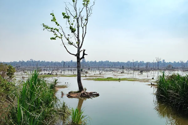 Lindo lago em torno de Neak Pean Temple, Camboja — Fotografia de Stock