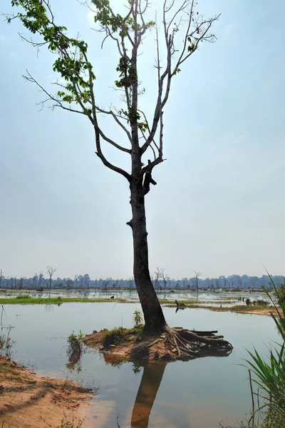 Lindo lago em torno de Neak Pean Temple, Camboja — Fotografia de Stock