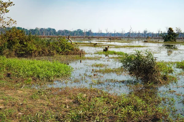 Lindo lago em torno de Neak Pean Temple, Camboja — Fotografia de Stock