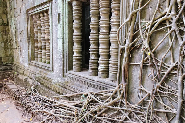 Las raíces de los viejos árboles tropicales en Beng Melea — Foto de Stock