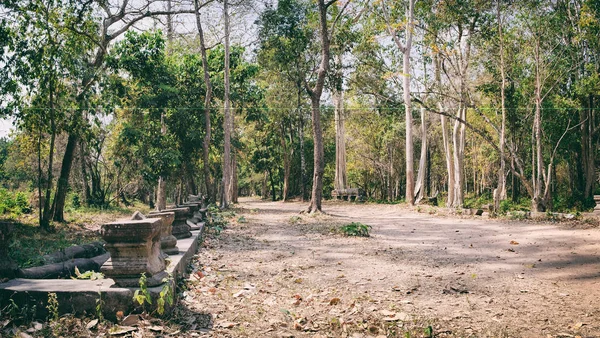 Path through the tropical jungle in Cambodia