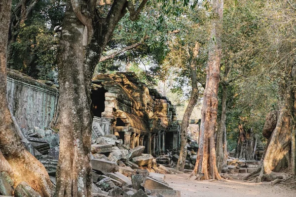 Ta Prohm Tapınağı Angkor kompleksi, Kamboçya'da — Stok fotoğraf