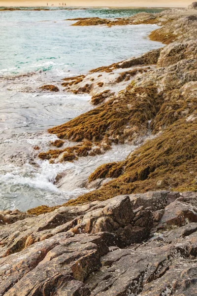 Vague roulant sur le rivage rocheux recouvert d'algues — Photo