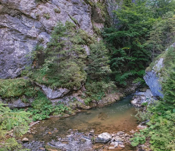Piccola cascata nella gola di Bicaz, Romania — Foto Stock