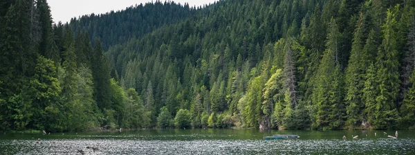 Lacu Rosu or Red lake in Romania Royalty Free Stock Photos