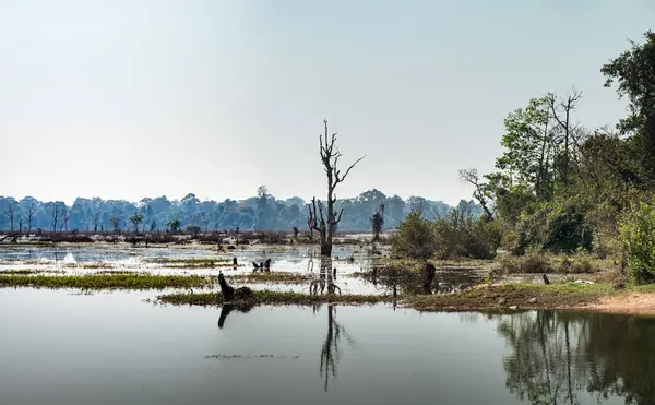 Lindo lago em torno de Neak Pean Temple, Camboja — Fotografia de Stock