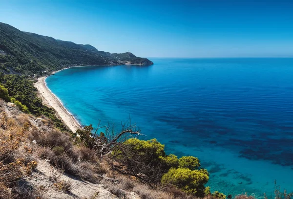 Бірюзові морської води і листя дерев, острові Lefkada — стокове фото