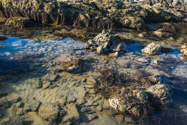 青い海と石と夕暮れ時のビーチの眺め — ストック写真