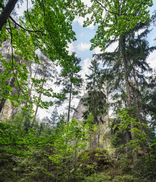 Blick Auf Die Berühmten Sandsteinfelsentürme Von Adrspach Und Teplicfelsen Und — Stockfoto