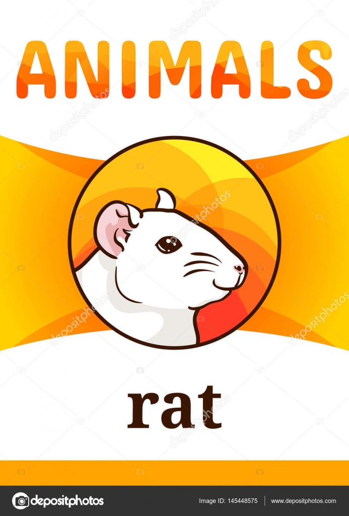 Scheda flash animale stampabile — Vettoriale Stock