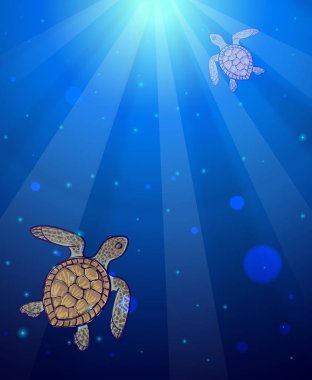 İki deniz kaplumbağaları ile sualtı deniz sahne