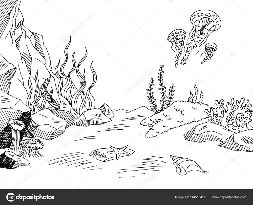 Морской белый рисунок Морской белый рисунок