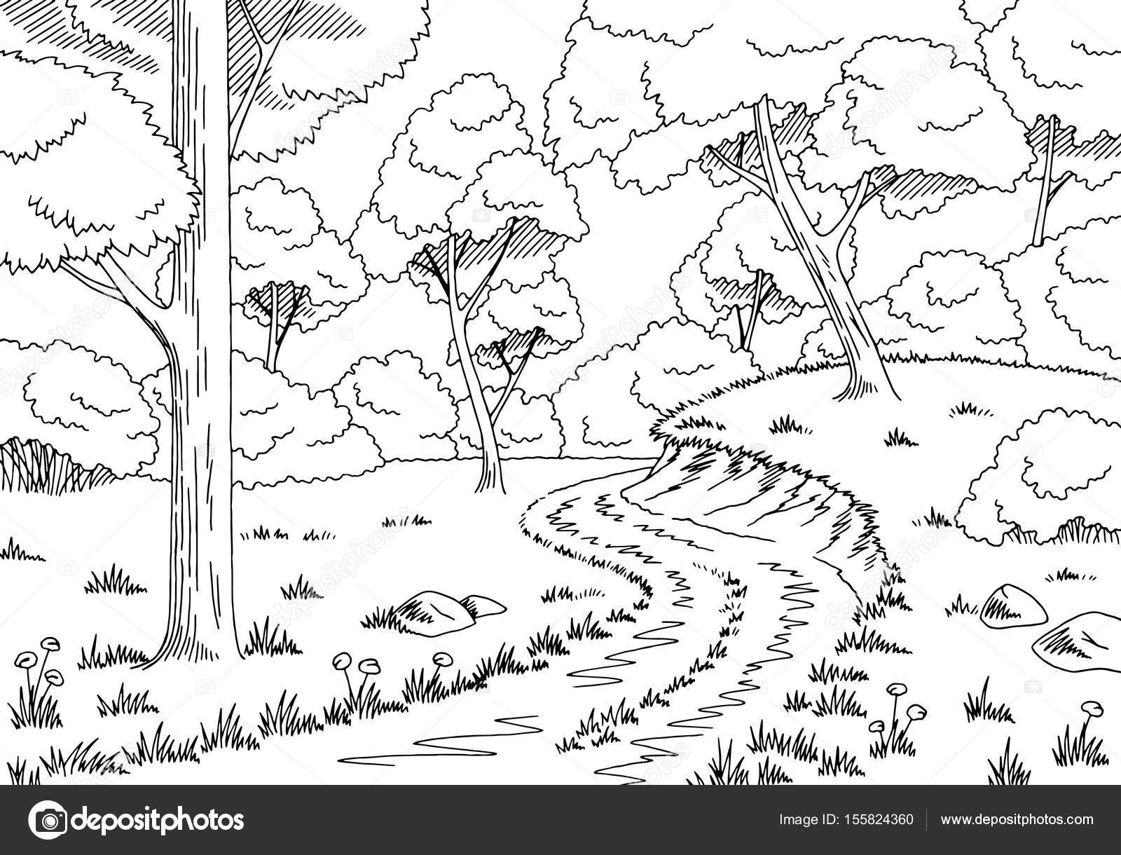 Forest Road Graphic Black White Landscape Sketch Illustration Vector Vector Image By C Aluna11 Vector Stock Forest Road Graphic Black White Landscape Sketch Illustration Vector Vector Image By C Aluna11 Vector Stock