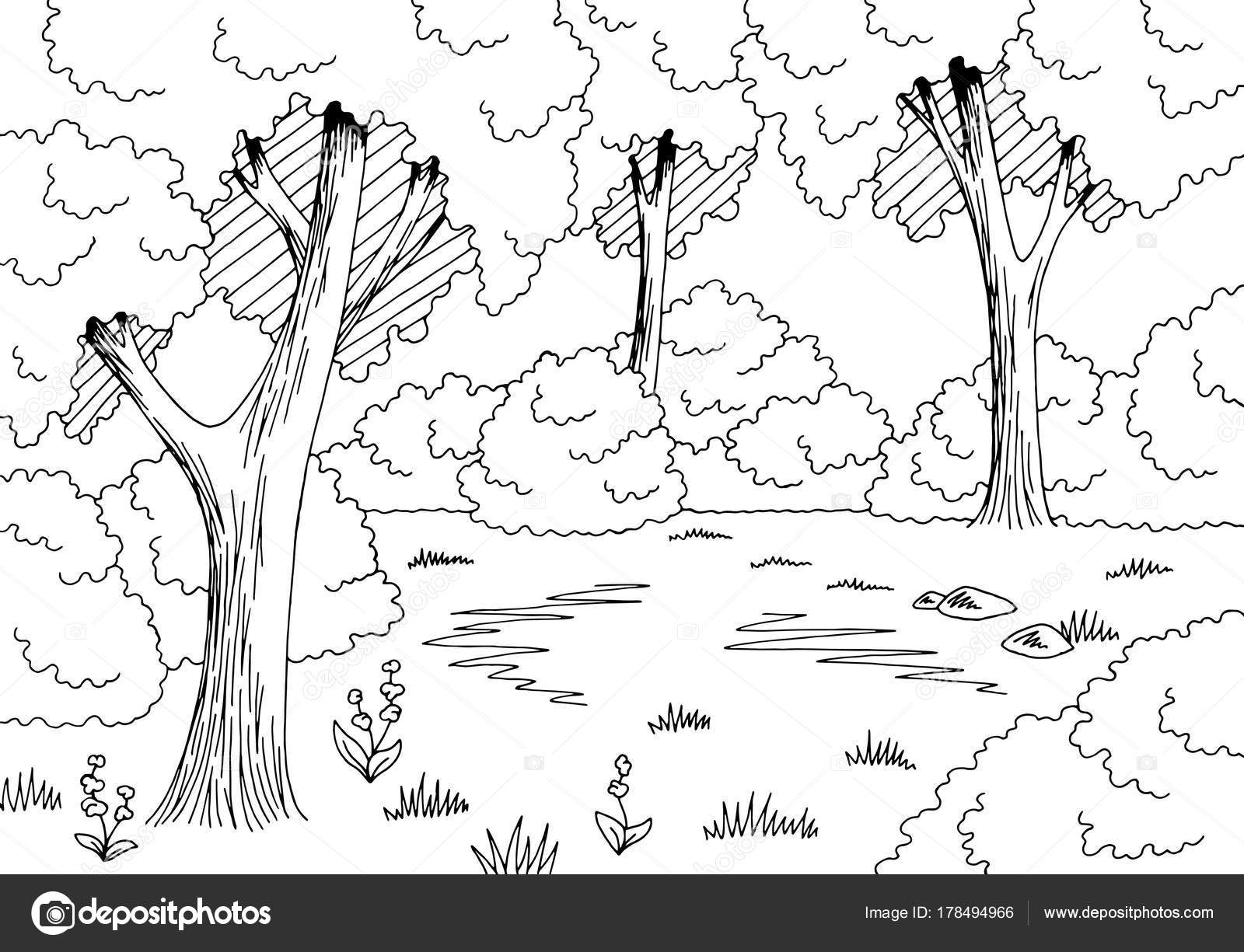 Malvorlage waldlandschaft information