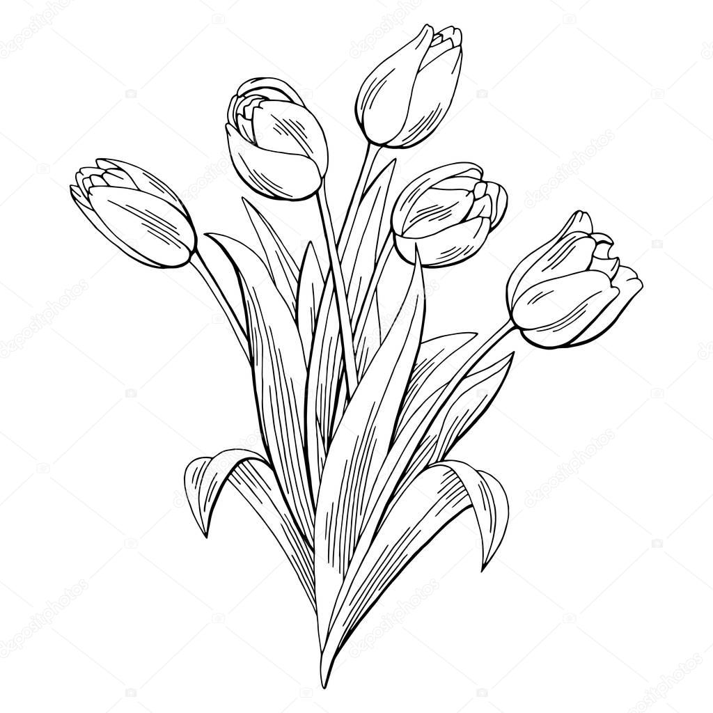 Flower graphic black and white | Tulip flower graphic black white ...