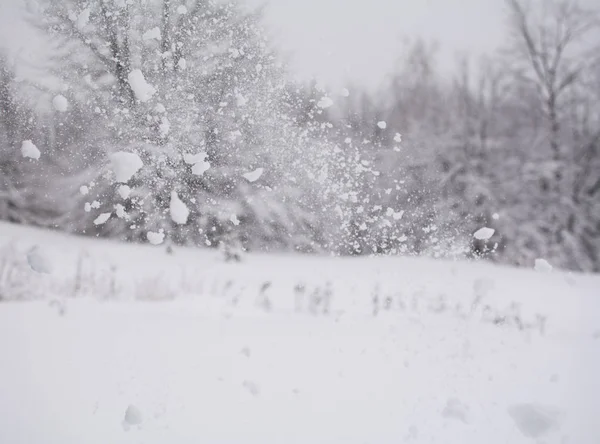Сніг у повітрі. Зимовий пейзаж на горі . — стокове фото