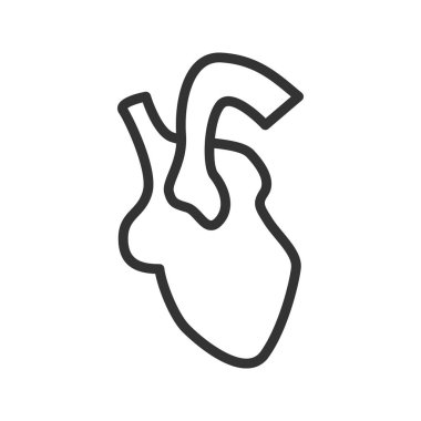 Kalp organ doğrusal simgesi. İnce hat illüstrasyon. Çizim vektör izole anahat.