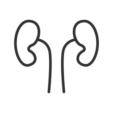 Böbrekler doğrusal simgesi. İnce hat illüstrasyon. Çizim vektör izole anahat.