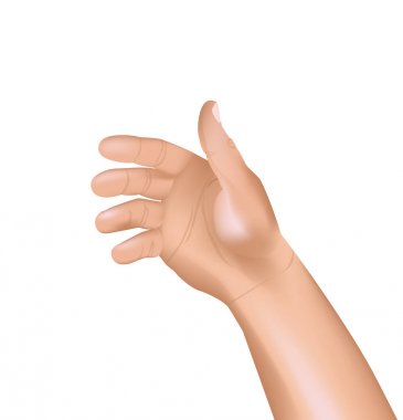 3D açık el vektör çizim. Afiş, poster, arka plan kullanılabilir.