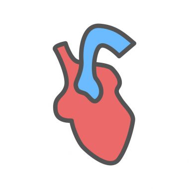 Kalp organ renk simgesi. Beyaz arka plan üzerinde izole vektör çizim.