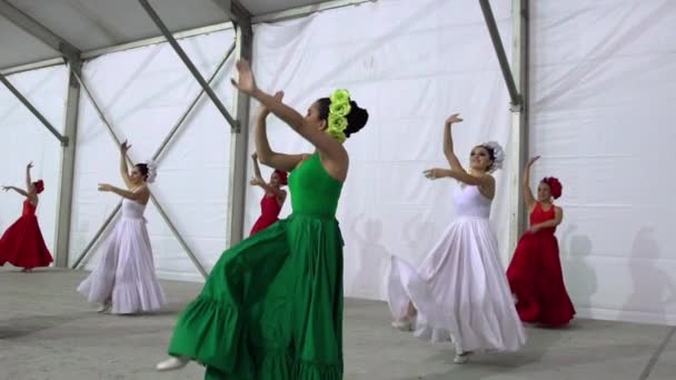 Dançarinos executar uma dança mexicana tradicional — Vídeo de Stock