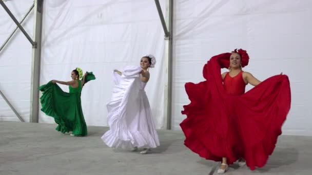 Dansçılar geleneksel bir Meksika dansı yapıyorlar. — Stok video